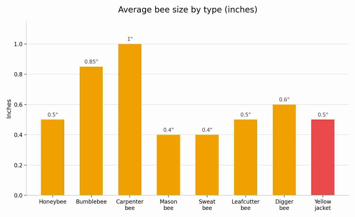 Bee Identification Chart